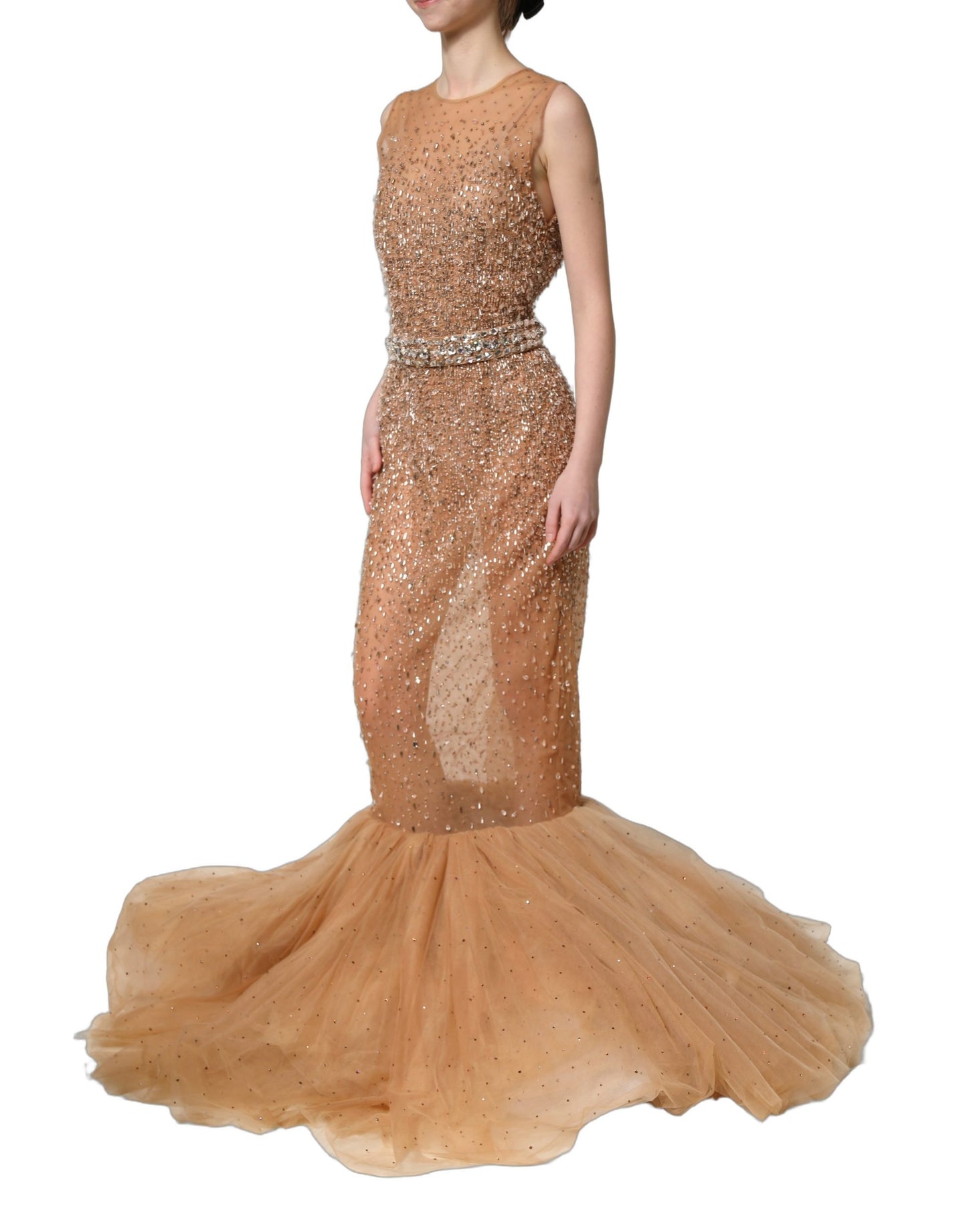 Brown Crystal Embellished Mermaid Gown Dress