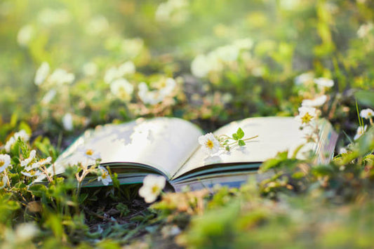 The Mother Book